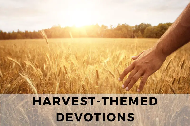 Harvest-Themed Devotions