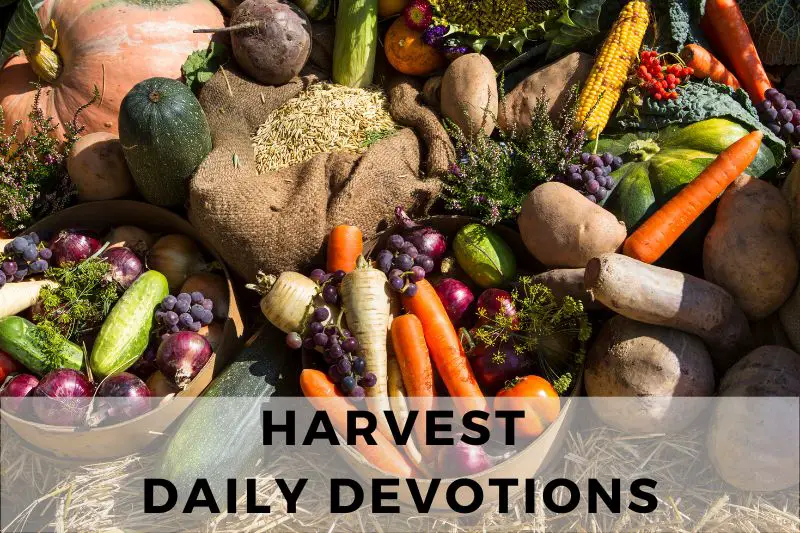 Harvest Daily Devotion