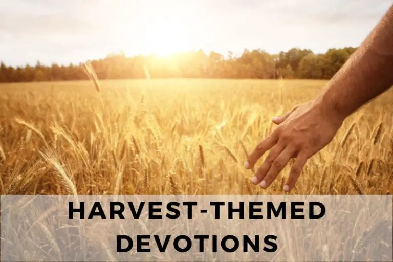Gathering Blessings: Harvest-Themed Devotions for Fall