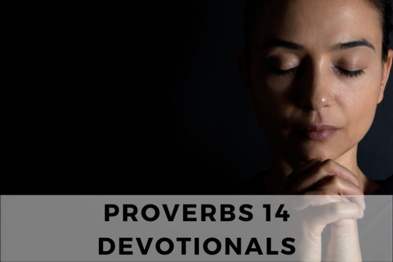 Walking in Wisdom: A Proverbs 14 Devotional