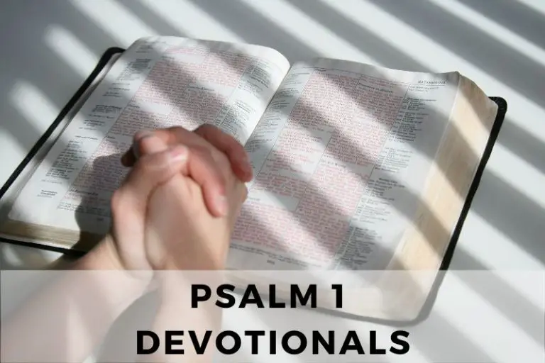 Walking in Righteousness: Devotionals on Psalm 1