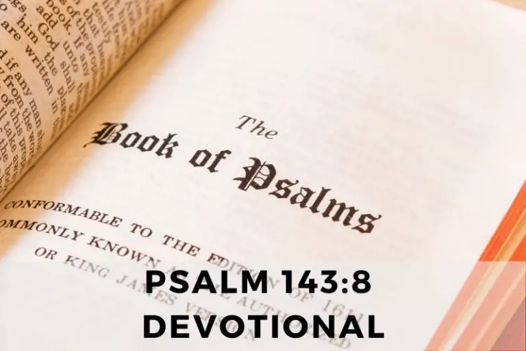 Guided by Grace: A Morning Devotional on Psalm 143:8