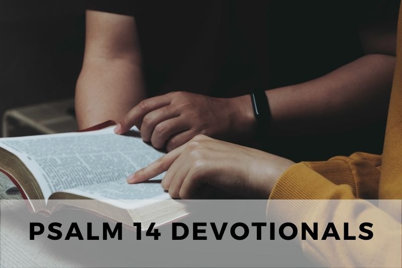 Psalm 14 Devotional