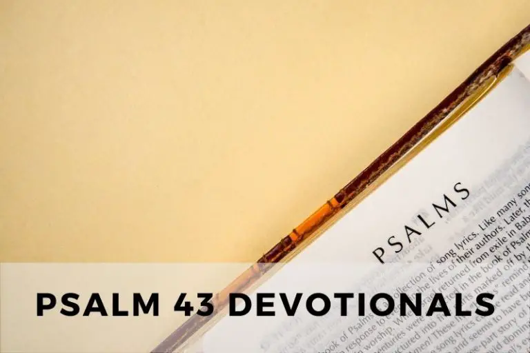 Psalm 43 Devotionals: Seeking God’s Light and Truth