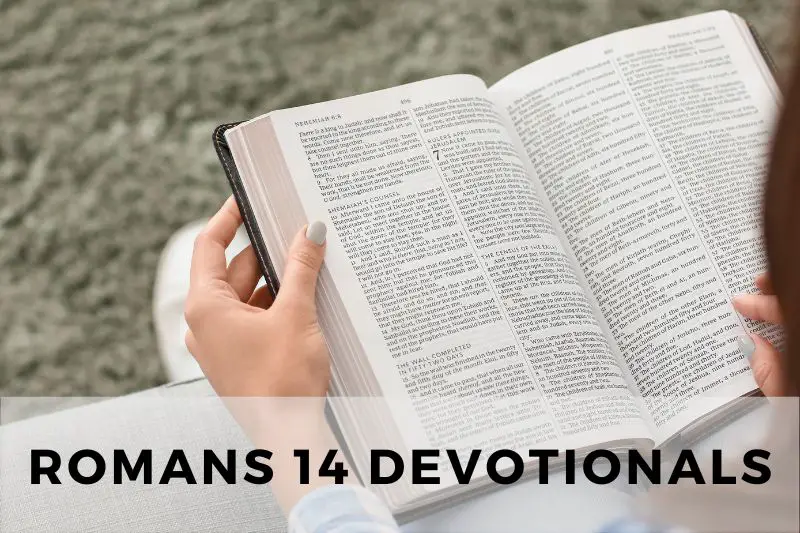 Romans 14 Devotional